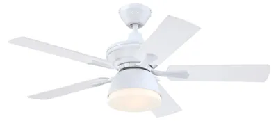 Immagine prodotto di Ventilatore da soffitto con luce e catenelle per esterno Nevada Bianco 105 cm
