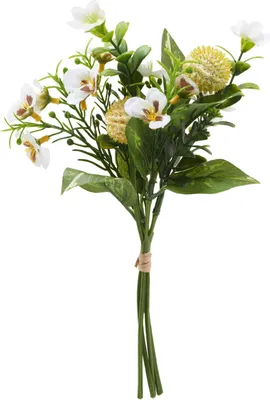 Produktbild von Blumenbund "Viola", L ca. 25 cm Creme
