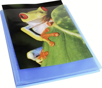Imagen del producto de Cuaderno de hojas sueltas EXACOMPTA, formato DIN A4, de polipropileno (PP), color azul