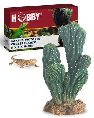 Immagine prodotto di HOBBY Cactus Victoria 19 cm, D37019