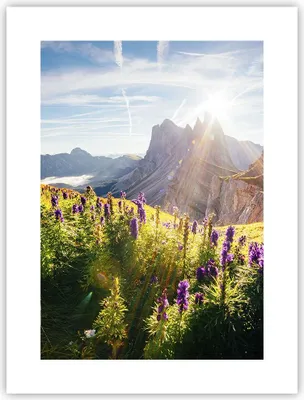 Produktbild von Poster - Poster ohne Rahmen - Berge Wiese Blumen - 30x40 cm - Wand Bild - Wanddeko - Wandbilder - Kunstposter - Wandposter - Bilder - Kunstdruck - Wanddekoration - Wandbild - P2XPA30x40-4008