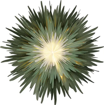 Produktbild von Stella-Dalia, Pergamentpapier grün-mint-weiß 60 cm