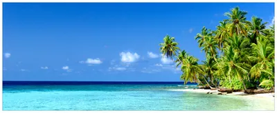 Produktbild von Wallario Premium Glasbild, freischwebende Optik, kräftige Farben, Größe 80 x 32 cm Motiv Blauer Himmel  weißer Strand  Palmen und das tiefblaue Meer