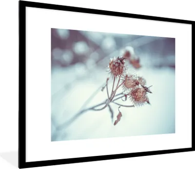 Produktbild von MuchoWow® Gerahmtes Poster Pflanzen - Winter - Schnee - Natur 80x60 cm - Poster mit Schwarzem Bilderrahmen Wandposter Rahmen Foto Bilder - Schlafzimmer-Dekorationen - Fotoposter