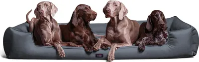 Produktbild von tierlando® Orthopädisches Hundebett GOOFY >> inkl. Matratzenschoner << Polyester - Größe: 160x110cm | Farbe: 06 Grau