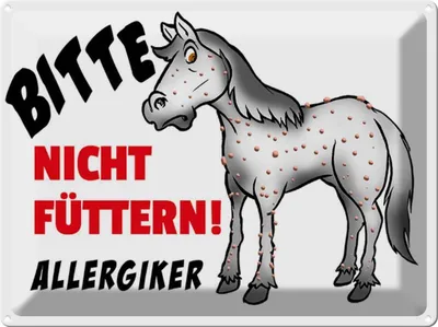 Produktbild von vianmo Blechschild 30x40 cm Bitte nicht füttern Pferd Spruch Zitat