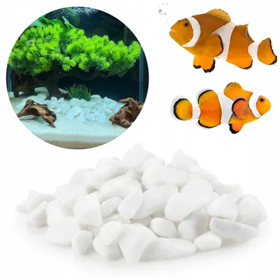 Produktbild von Aquarium Kies, Schneeweiss 1 kg Koernung 1-3 cm