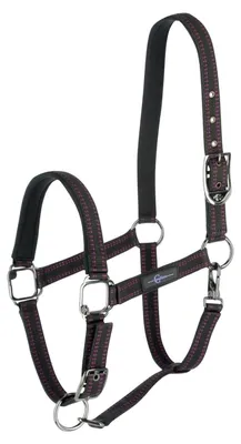 Immagine prodotto di Covalliero Cavezze per cavalli Royal Halfter Nero/Fucsia Foal