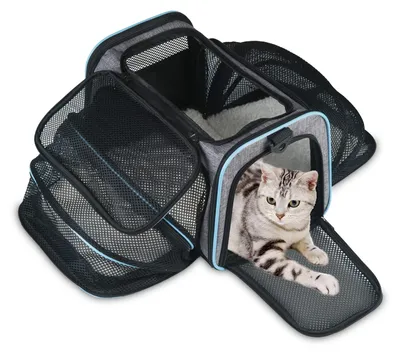 Immagine prodotto di Borsa trasportino per animali domestici, traspirante, taglia M, con materassino removibile, ideale per il trasporto