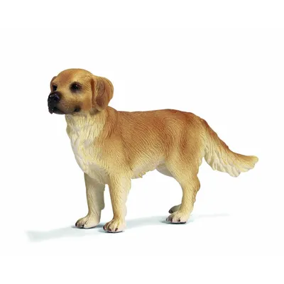 Obrázok produktu pre Schleich 16335 Zlatý retriever