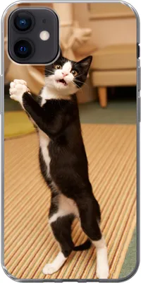 Produktbild von MuchoWow® Handyhülle Schutzhülle Hülle für iPhone 12 mini Katze - Wohnzimmer - Schwarz Silikon Softcase Handy Hülle - Bild