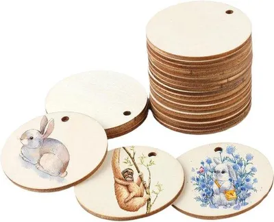 Immagine prodotto di Dischi di legno da 5 cm con foro per decorazione