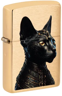 Produktbild von Zippo Sturmfeuerzeug - Egyptian Cat, Brushed Brass, Color Image - Nachfüllbar -