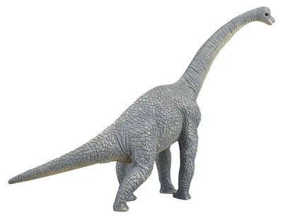 Produktbild von Mojo Fun Brachiosaurus, 3 Jahr(e), PREHISTORIC LIFE, Blau, Grau, Polyvinylchlorid (PVC)
