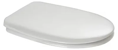 Produktbild von Duravit WC-Sitz mit Kunststoffscharniere