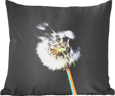 Produktbild von MuchoWow® Zierkissen Sofakissen Wohnzimmer Dekokissen 40x40 cm Eine Pollenblume auf schwarzem Hintergrund - Foto Kissen - Schlafzimmer Dekoration