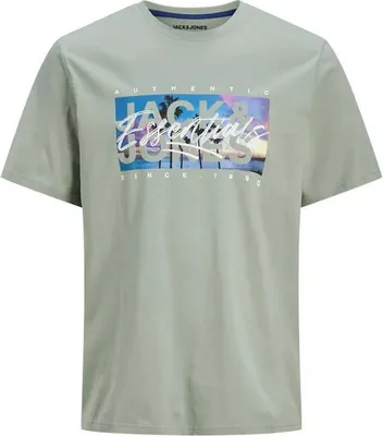 Image de Jack & Jones Colton Photoprint T-shirt manches courtes Vert S Hommes Vert S