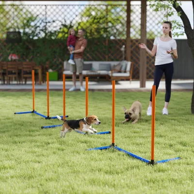 Produktbild von Hunde Agility Set 3-teilig mit Slalomstangen, Trainingsset werkzeuglos aufbaubar, PE-Kunststoff, Orange | 65x64x69 cm | 2 kg | mit Tragetasche