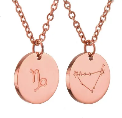 Image de Signe du zodiaque chaîne or horoscope capricorne AFSTALR