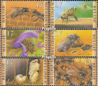Produktbild von Briefmarken Belgien 1997 Mi 2767-2772 (kompl.Ausg.) postfrisch Bienenzüchterverband