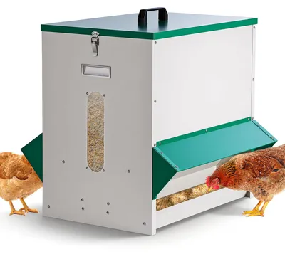 Image de Distributeur automatique de nourriture pour volailles, capacité de 45 kg, résistant aux intempéries et stable
