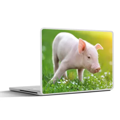 Produktbild von MuchoWow® Laptop Aufkleber Sticker Cover Tiere - Ferkel - Schwein 30x22 cm - Laptop-Sticker