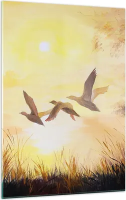 Produktbild von Bilder auf glas - Einteilig - Vogel Natur Wasser - 50x70cm - Glasbilder - Wandbilder - Bilder - zum Aufhängen bereit - Wanddekoration aus Glas - Glas Bilder - Wandbild auf Glas - GPA50x70-3686