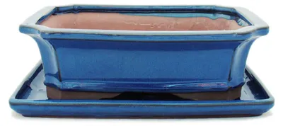 Obrázek produktu pro Bonsajová miska s podšálkem velikost 4 - modrá - čtvercová - model G4 - d 26cm - š 20cm - v 8cm