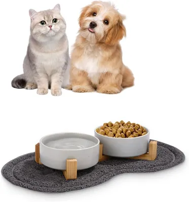 Produktbild von 2-teiliger Futternapf für kleine Haustiere Reisschüssel mit Ständer