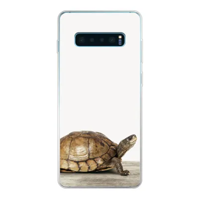 Produktbild von MuchoWow® Handyhülle Schutzhülle Hülle für Samsung Galaxy S10 Lite Schildkröte - Junge - Tiere - Kinder - Mädchen Silikon Softcase Handy Hülle - Schutz