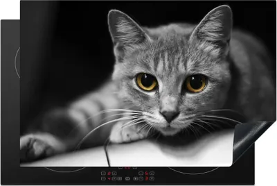 Produktbild von KitchenYeah© Herdabdeckplatte Katze - Tier - Makro , 80x52cm, Küche Deko, Glaskeramikkochfeld Herdabdeckung, Abdeckplatte fùr Kochfeld