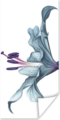 Produktbild von MuchoWow® Poster Blumen - Aquarell - Lilie 20x40 cm - Plakat - Foto