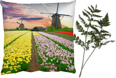 Produktbild von MuchoWow® Zierkissen Sofakissen Wohnzimmer Dekokissen 40x40 cm Windmühle - Tulpen - Blumen - Niederlande - Foto Kissen - Schlafzimmer Dekoration