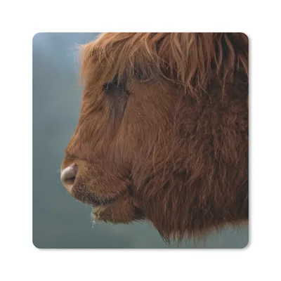 Produktbild von MuchoWow® Mauspad Mousepad Schottische Highlander - Tiere - Nebel 20x20 cm - Mousepads - Maus Mat - Pad - Mausunterlage - Desk Mat - Bureauartikeln