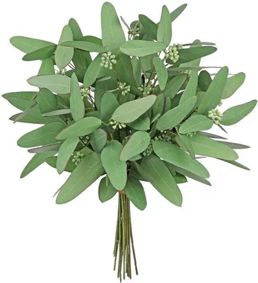 Produktbild von Unyqoos Eucalyptus Kunstzweige - Pflegeleichte Dekoration für Zuhause, 40 cm, realistische Kunstpflanzen