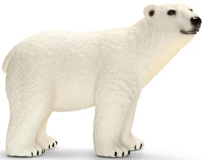 Productafbeelding van Schleich - Dierenfiguren, ijsbeer; 14659