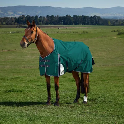 Image de Weatherbeeta Comfitec Plus Dynamic Turnout 100g - Taille 155 - Vert
