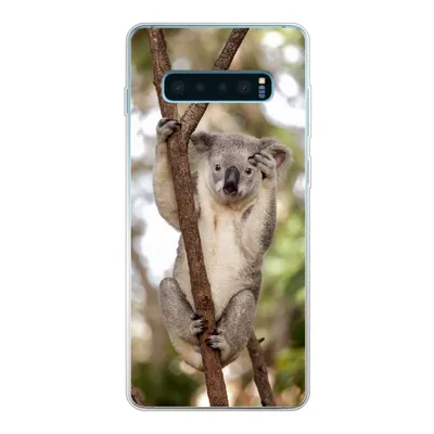 Produktbild von MuchoWow® Handyhülle Schutzhülle Hülle für Samsung Galaxy S10 Plus Koala - Äste - Tier - Kinder - Jungen - Mädchen Silikon Softcase Handy Hülle - Schutzhülle