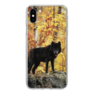 Produktbild von MuchoWow® Handyhülle Schutzhülle Hülle für iPhone Xs Wolf - Fels - Baum Silikon Softcase Handy Hülle - Handytasche