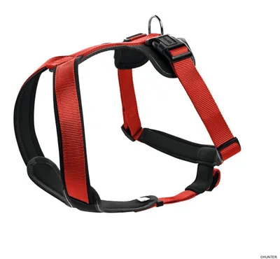 Produktbild von HUNTER Geschirr Neopren M/1, rot/schwarz