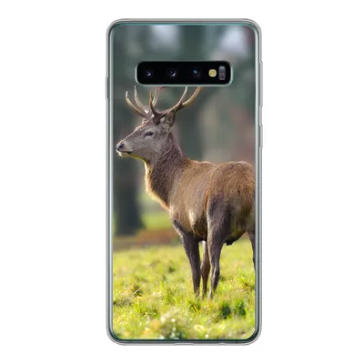 Produktbild von MuchoWow® Handyhülle Schutzhülle Hülle für Samsung Galaxy S10 Rothirsch - Wiese - Grün Silikon Softcase Handy Hülle - Handytasche