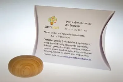 Image de Schmeichler Baumhoroskop Zypresse HKZYP