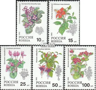 Produktbild von Briefmarken Russland 1993 Mi 296-300 (kompl.Ausg.) postfrisch Zimmerpflanzen