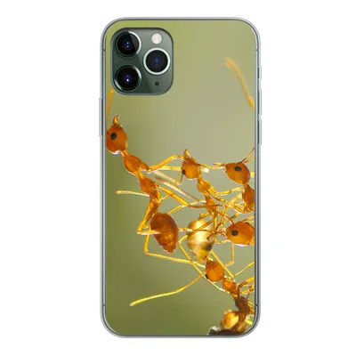 Produktbild von MuchoWow® Handyhülle Schutzhülle Hülle für iPhone 11 Pro Ameisen - Orange - Tiere Silikon Softcase Handy Hülle - Handy