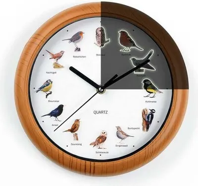 Produktbild von DS Produkte Wanduhr 25cm Durchmesser, mit 2 originalen Vogelstimmen (Naturaufnahmen) & leuchtenden Vogelmotiven. Automatische Nachtabschaltung 21-5 Uhr. Kunststoff, Cognacbraun, klassischer Holzrahmen. Ideal für Kinderzimmer, Küche, Gartenhaus & als Geschenk.