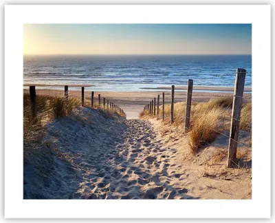 Produktbild von Poster - Poster ohne Rahmen - Meer Strand Düne - 50x40 cm - Wand Bild - Wanddeko - Wandbilder - Kunstposter - Wandposter - Bilder - Kunstdruck - Wanddekoration - Wandbild - P2XAA50x40-3612