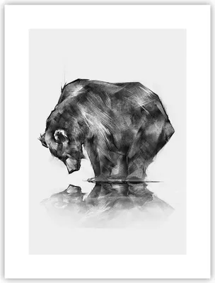 Produktbild von Poster - Poster ohne Rahmen - Bär Tier - 30x40 cm - Wand Bild - Wanddeko - Wandbilder - Kunstposter - Wandposter - Bilder - Kunstdruck - Wanddekoration - Wandbild - P2XPA30x40-3921