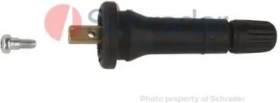 A tire pressure monitoring system sensor and a screw are shown against a white background.