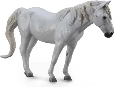 Produktbild von COLLECTA Figur Camargue-Pferd, graues Fell 88749