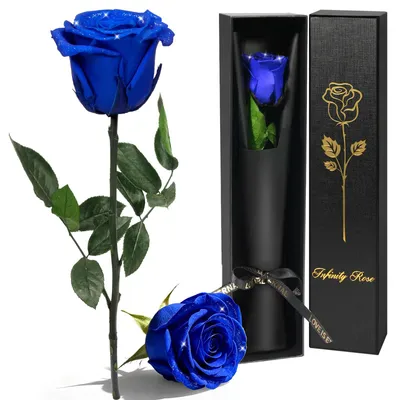 Imagen del producto de Rosa preservada con tallo, 30 cm, flor eterna para el Día de San Valentín